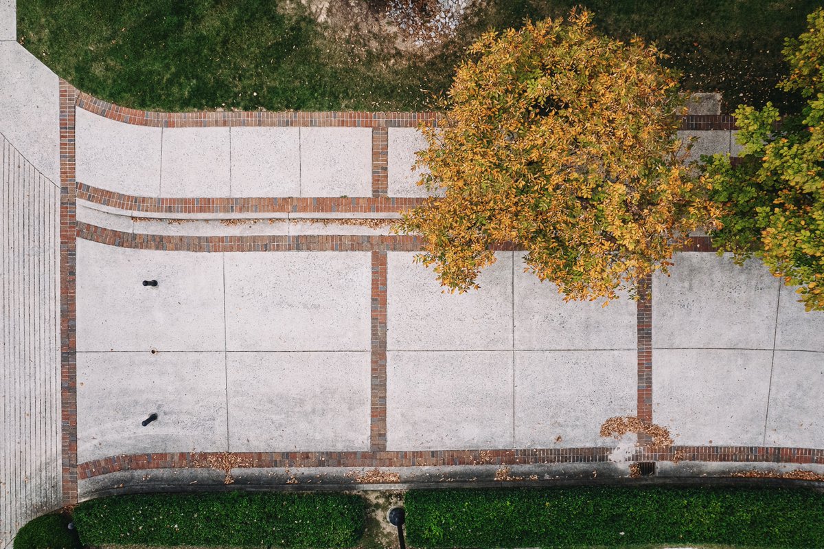 Cody Bryant tweet media