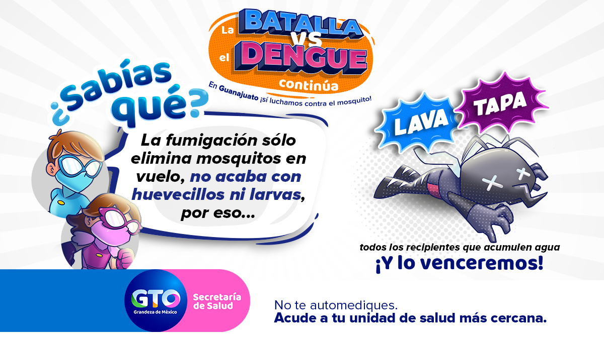 saludgobgente's tweet photo. ¿Sabías qué? La fumigación sólo elimina mosquitos en vuelo, no acaba con huevecillos ni larvas… por eso #LAVA y #TAPA todos los recipientes que acumulen agua ¡Y lo venceremos!
En Guanajuato ¡sí luchamos contra el mosquito https://t.co/wbwqfI3K0j