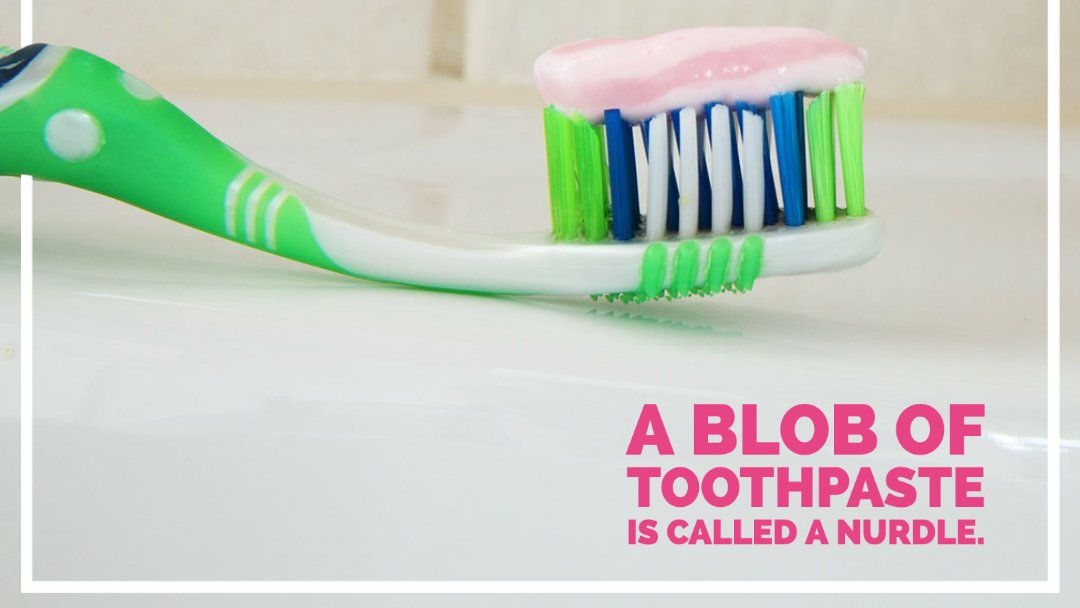FmC977's tweet photo. It's #TriviaTuesday. Did you know that A blob of #toothpaste is called a nurdle? Tell us some #uslessknowledge to help us through our #Workday! Any little #TidBit that'll make us say, "What, I had no idea!" - @RadioChristina https://t.co/W2JZe3PxKu