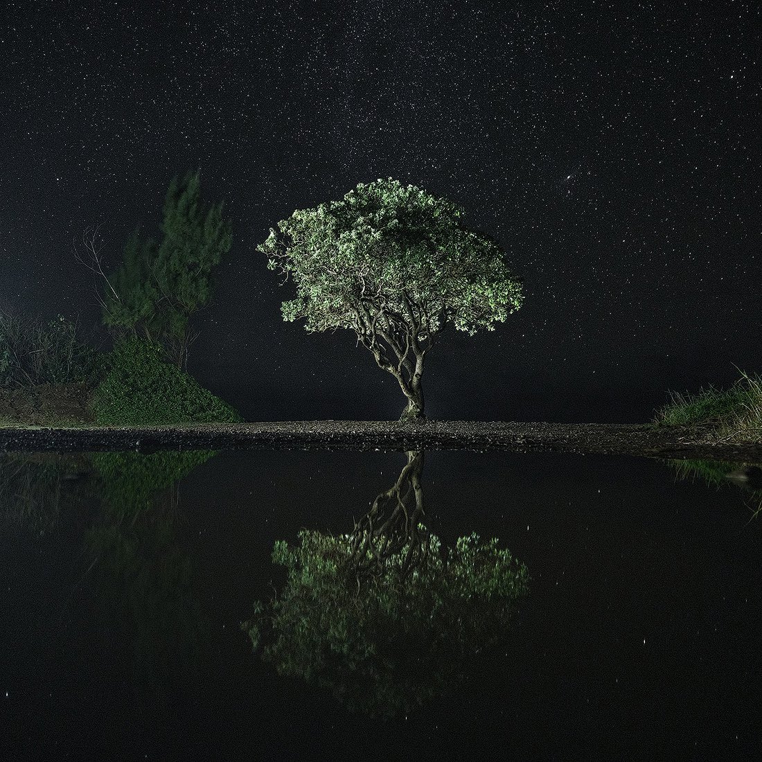 naturespace_'s tweet photo. https://t.co/XDw42ukVsC