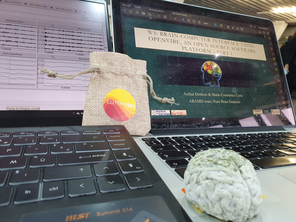 MConstanceCorsi's tweet photo. Last adjustments before our (very first!) tutorial on @openvibebci and BCI research @CuttingEeg with Arthur Desbois. More info to come, stay tuned!
#BCI #openvibe https://t.co/VuaqWsIlAF