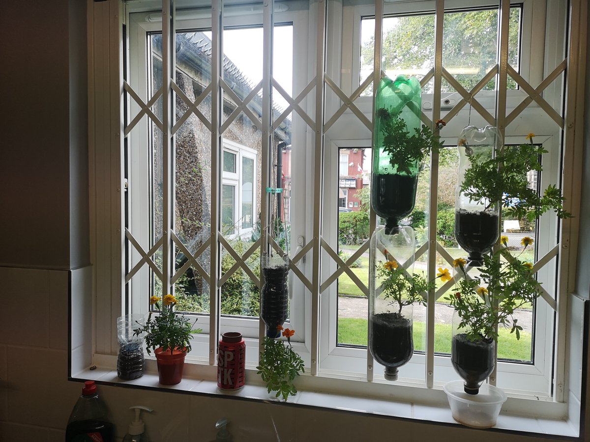 This team doesn't make work feel like work plus we even made progress on the what's on guide and connector project between lunch ordering 👍 <a href="/BurnageCC/">Burnage CommCentre</a> <a href="/BurnageGN/">Burnage GN</a> <a href="/BloxBurnage/">Burnage community Blox</a> <a href="/MCCBurnage/">MCC Burnage</a>