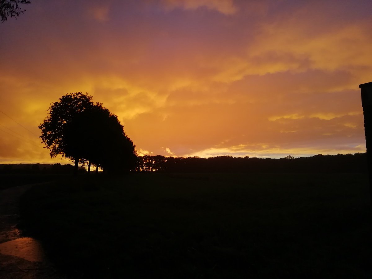 CaptainThecrazy's tweet image. 