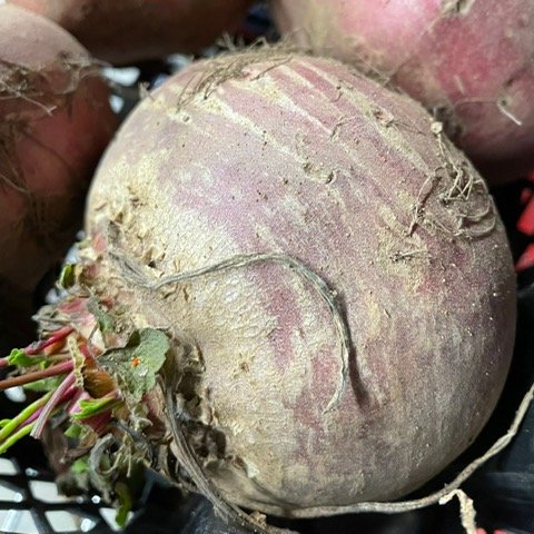 Fresh in, new season candy beetroot - perfect for thinly slicing and serving in salads, raw or lightly pickled. Taking orders now for delivery tomorrow.
