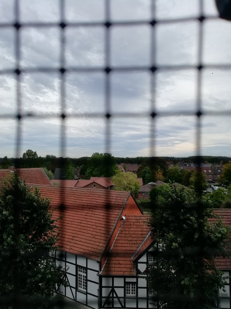 CaptainThecrazy's tweet image. Ich soll Fredi auf Twitter beleidigen also Fredi ist ein