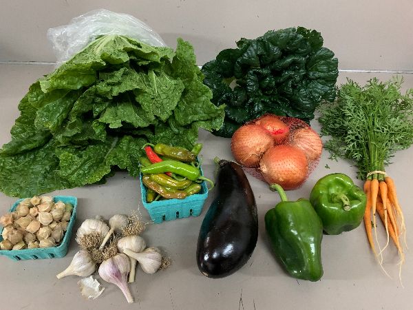 Under the Sun Farm tweet media