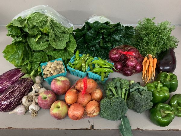 Under the Sun Farm tweet media