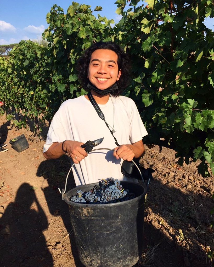GOJFRC's tweet photo. While fall may be time to harvest apples back in the States, our #JFRC Italian Culture: Food and Wine students took their class to the @lortodialberico to harvest and crush grapes! Photos courtesy of Prof. Simari. https://t.co/5rfSsX9sws