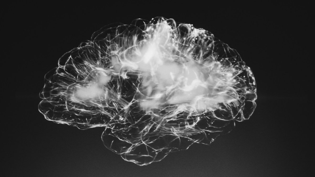 CBR_UBC's tweet photo. A cancer chemotherapy drug can restore memory and cognitive function in mice that display #Alzheimers disease symptoms, #JefferiesLab researchers have found.
Prof. Wilf Jefferies & Dr. Chaahat Singh explain more: https://t.co/QUJWGIbgRH
@ubcmsl @UBCmedicine @ubcnews https://t.co/4Od40UXjTe