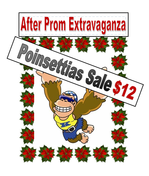 It's that Time of Year again! 
Poinsettias SALE TIME!! 
Seniors will be selling 6" Poinsettias starting Today - the 25th of October 
Deliveries will start December 3rd