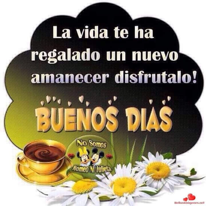 SoyJose_Com's tweet photo. #FelizMartesATodos https://t.co/YzIvI4TrKa