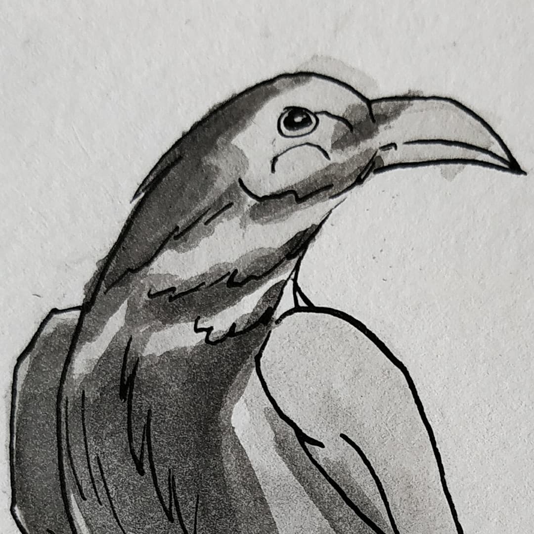 Olgaolis's tweet photo. Inktober Day 5 "Raven"
#inktober2021 #inktober #raven #ravendrawing #ink #blackandwhite #smallartaccount #smalldesign #smallartists #inkdraw #artofinstagram #artchallenge #inkdrawing https://t.co/GMfNucHsUB