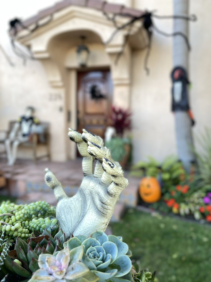 HallowPartyRP's tweet photo. #zombies #witches #pumpkins #spiders #skeletons oh my! https://t.co/3HtqTRgR1U