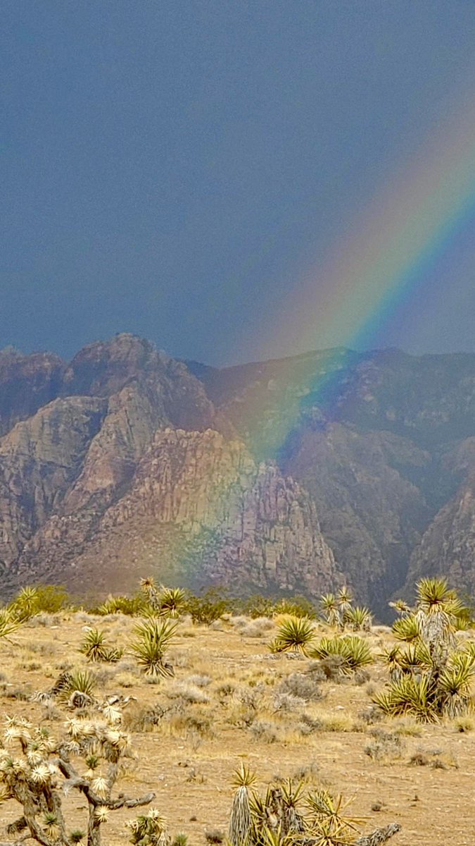 RedRockCynLV's tweet image. Today’s rainbow led us to autumn’s golden rolling hills in #RedRockCanyon 🌈🍂