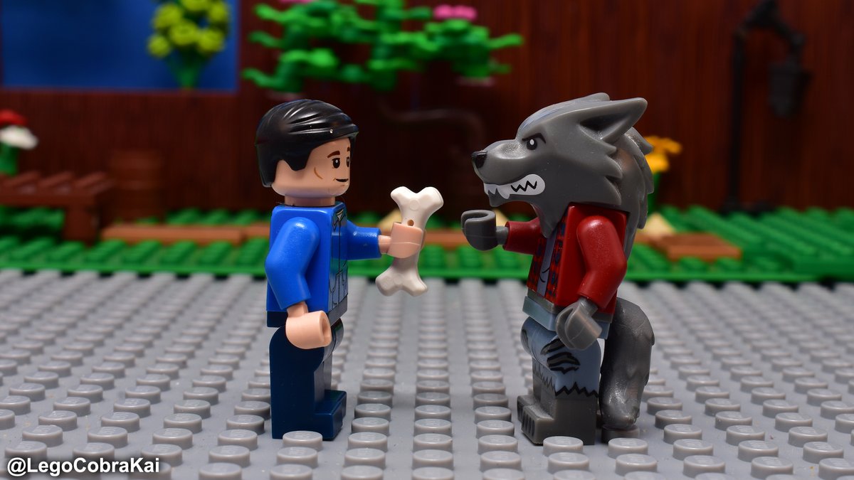 LegoCobraKai's tweet photo. It’s a full moon, but LaRusso knows how to stop me eating all the students #CobraKai #CobraKaiHalloween #Wearwolves https://t.co/WI87oz4LpO
