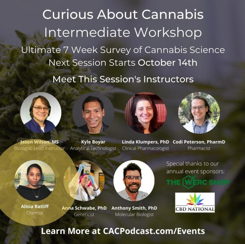 Take a deeper dive into cannabis science with <a href="/AboutCannabis/">CuriousAboutCannabis</a>'s Intermediate Workshop.
#cannabis #cannabisscience #cannabisworkshop