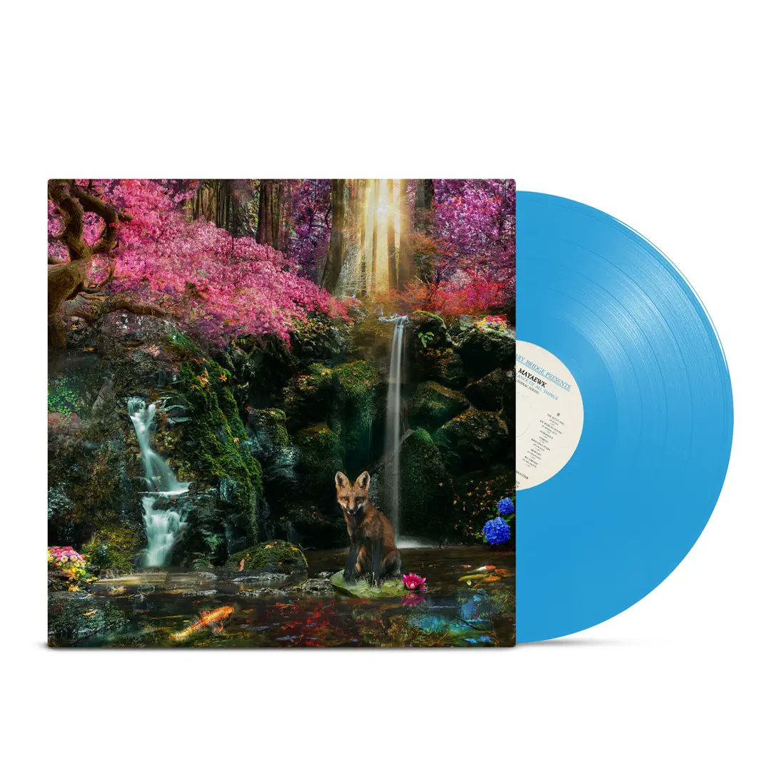 Mayaewk 🔥 tweet media