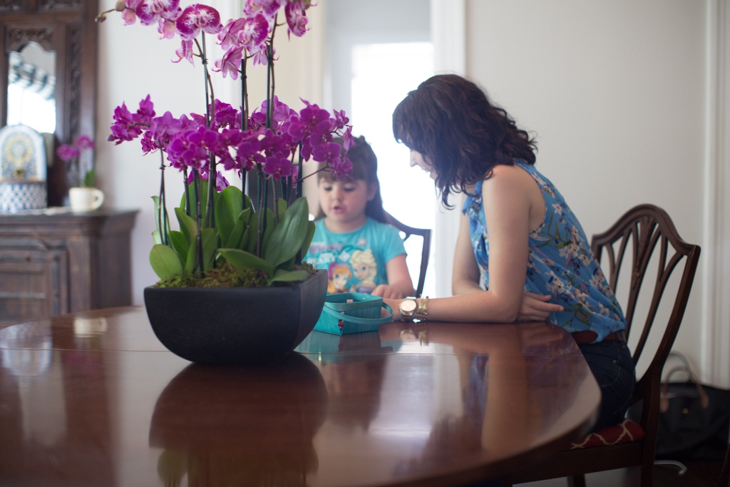 Today on World Teachers' Day we celebrate the service and dedication of a special teacher who took up an important mission. Thank you to all the wonderful teachers making a difference!
 #orchidlover #orchidcollection