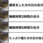 「睡眠時間の不思議」たっぷり寝ようが寝まいがいつだって眠い!