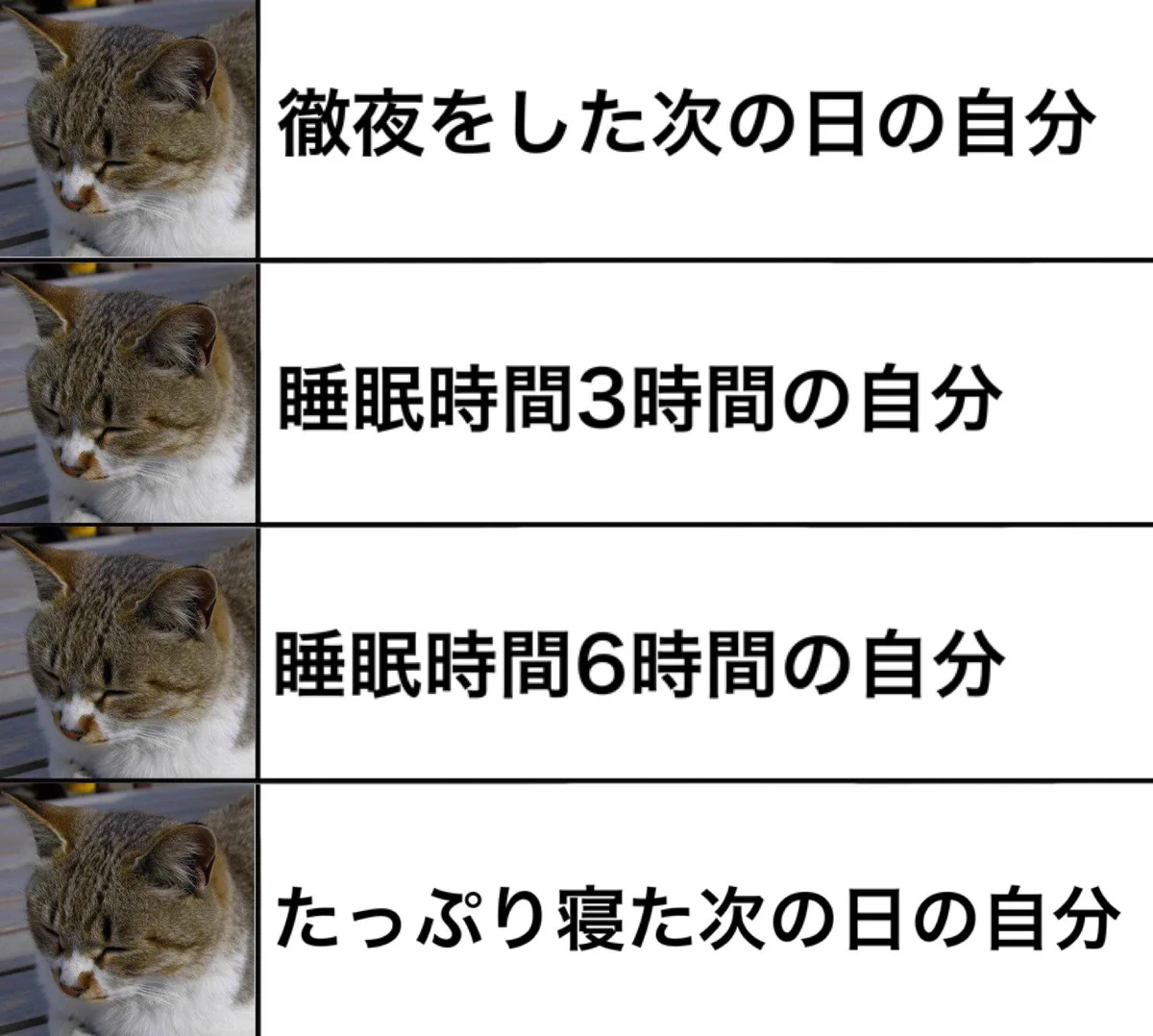 「睡眠時間の不思議」たっぷり寝ようが寝まいがいつだって眠いwww