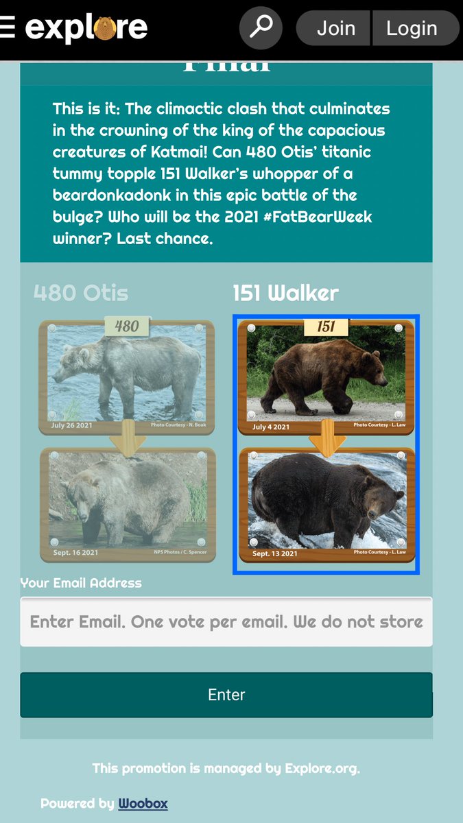 jbwatterson's tweet photo. Itβs the butt glow-up for me #teamwalker #FatBearWeek #fatbeartuesday https://t.co/PvvftEtqo5