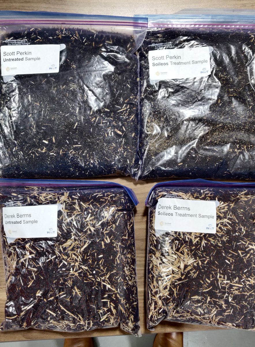 All right, more Canola has arrived - thanks to <a href="/scott_perkin/">Scott Perkin🦕</a>, Derek Berrns, and the team @IN10Tag!

These samples will be split with some being sent for elemental analysis <a href="/4D_LABS/">4D LABS</a>, some being sent to <a href="/ALCanadaLabs/">A&L Canada Laboratories Inc.</a> for quality analysis. The rest will go into our seed library.