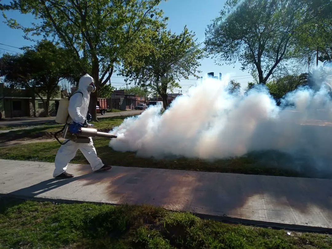 Ambiente Lomas tweet media