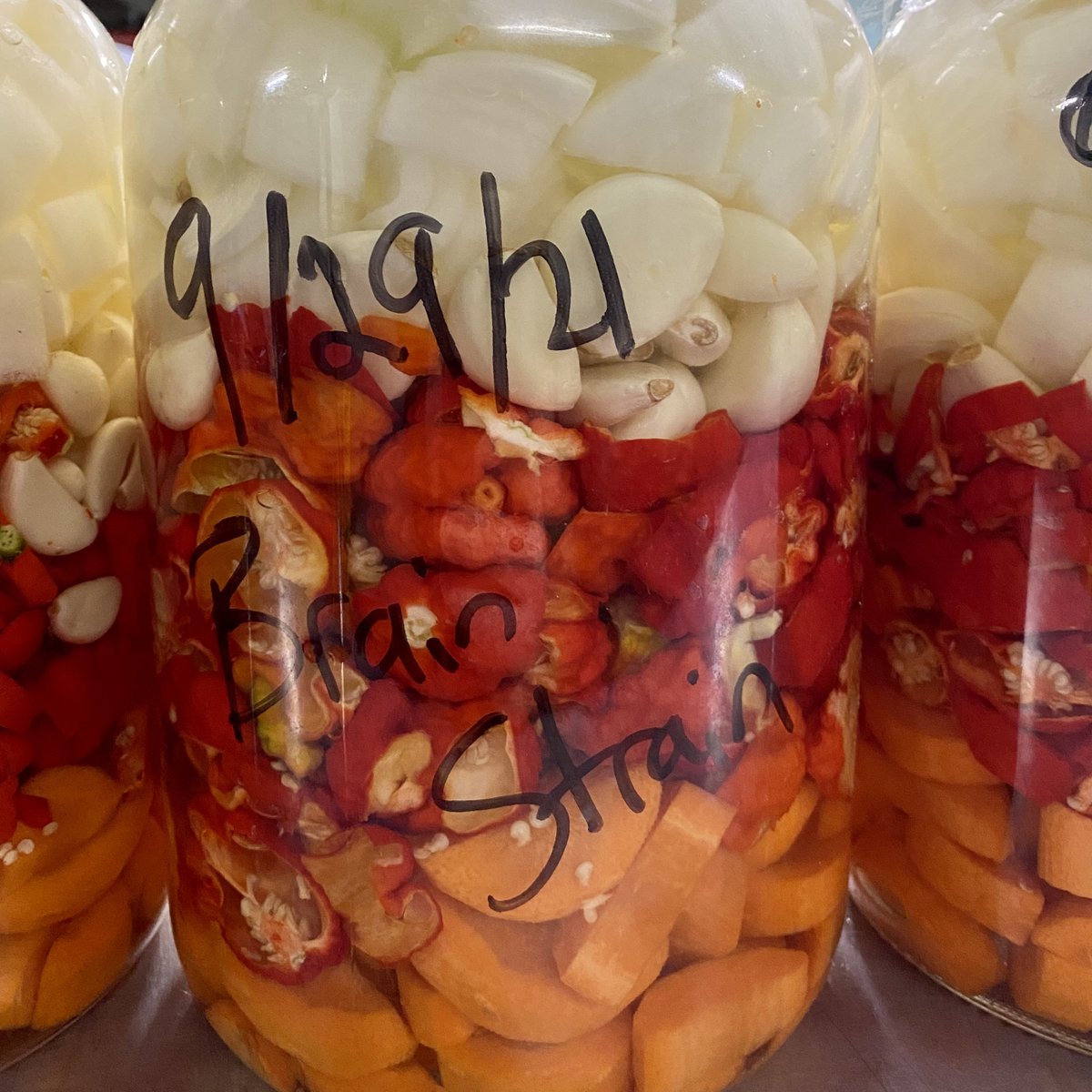 powerfulpep's tweet photo. I decided to do a run of basic recipe sauces (all the same except for the pepper) to highlight different garden peppers. Here’s #2 - 7 pot Brain Strain #brainstrain #spicy #fermentedfoods #hotsauce #powerfulpepperco https://t.co/T15QDdiMMq