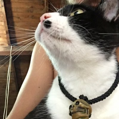 raslead's tweet photo. #NuevaFotoDePerfil https://t.co/28nRbFpCQv