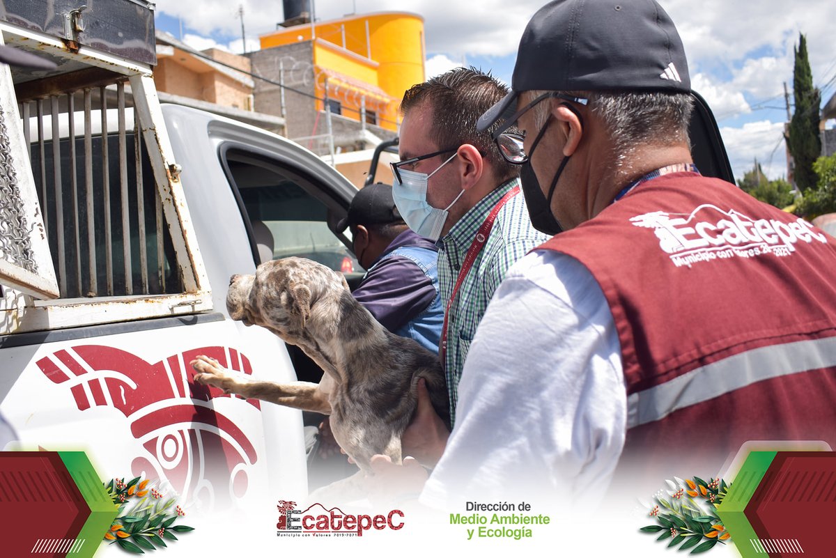 Dirección de Medio Ambiente y Ecología Ecatepec tweet media