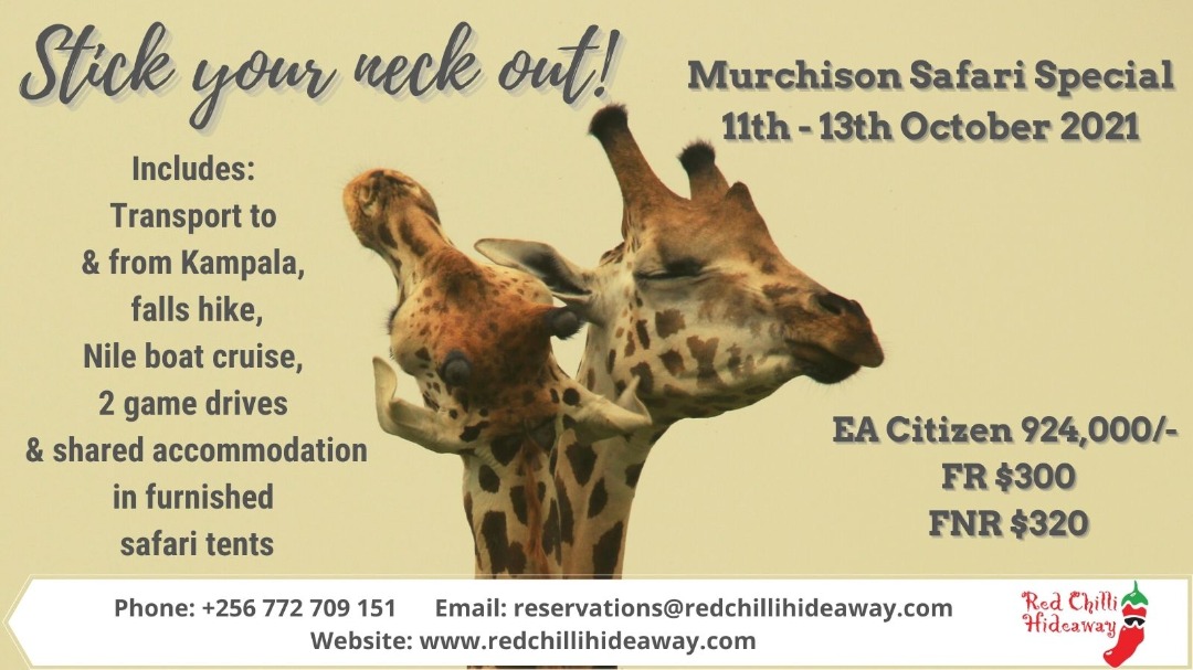 RedChilliUganda's tweet photo. It's not too late to book! #Safari #Uganda #StaySafeUG #GetOutThere #SupportOurParks #UWA #ugandawildlifeauthority https://t.co/MHR5uit19u