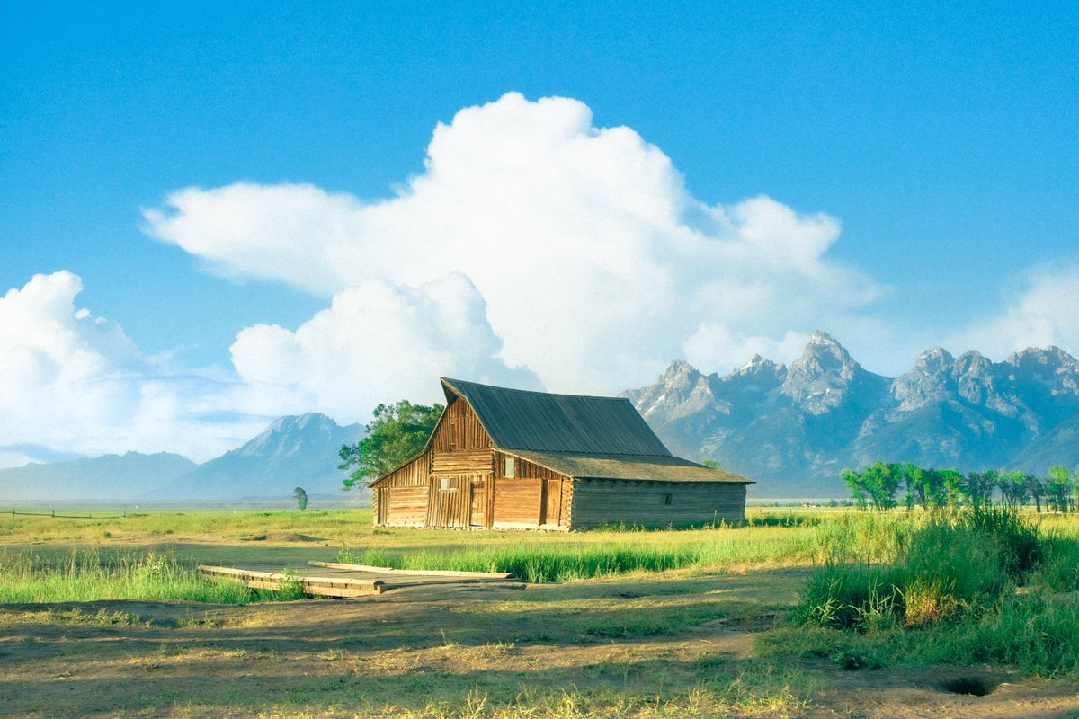 inthemeadow's tweet photo. photos i made inspired by studio ghibli https://t.co/9OZ7qbHhR6