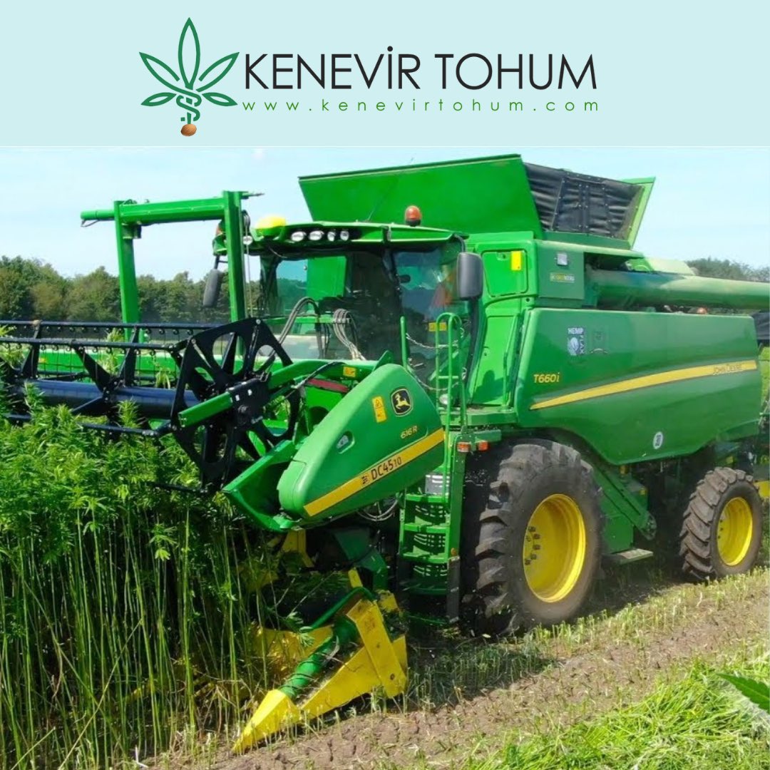 Kenevirtohum.com  

kenevir bitkisinin işlenmesi, geliştirilmesi ve kenevir özünün elde edilmesinde hizmet  ve danışmanlık veren bir şirkettir.