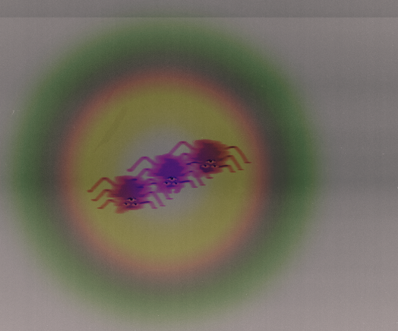 grunklestanfart's tweet photo. random spiders bc it's october🎃 https://t.co/3Bc7nwCmJm