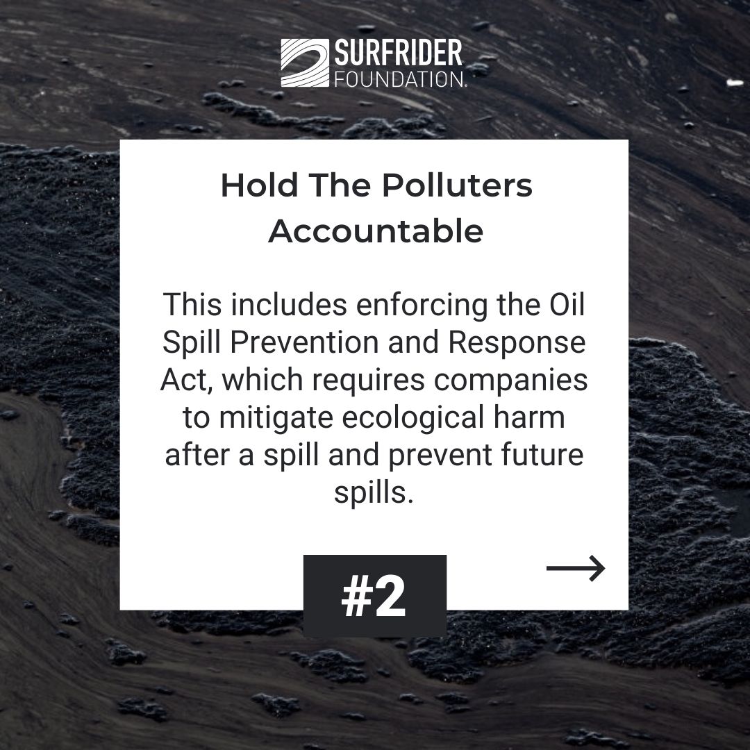 Surfrider Foundation tweet media