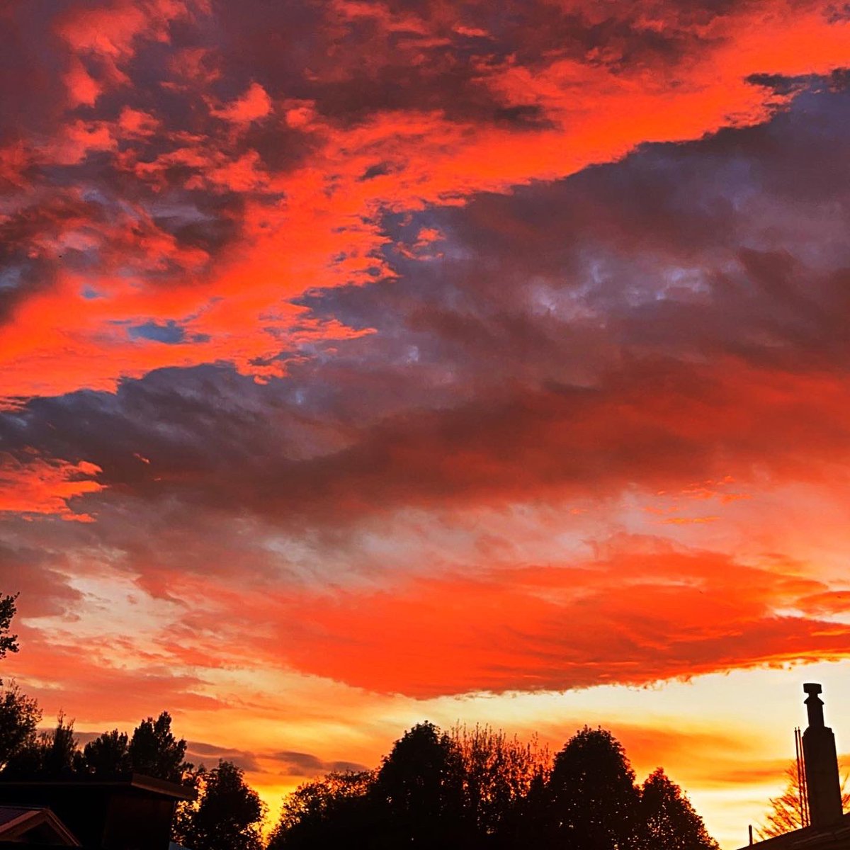 melljay3's tweet photo. @danielcorbetttv thought you might like these on the weather sunrise this morning in Ngongotaha Rotorua https://t.co/gBJ6KTOKsL