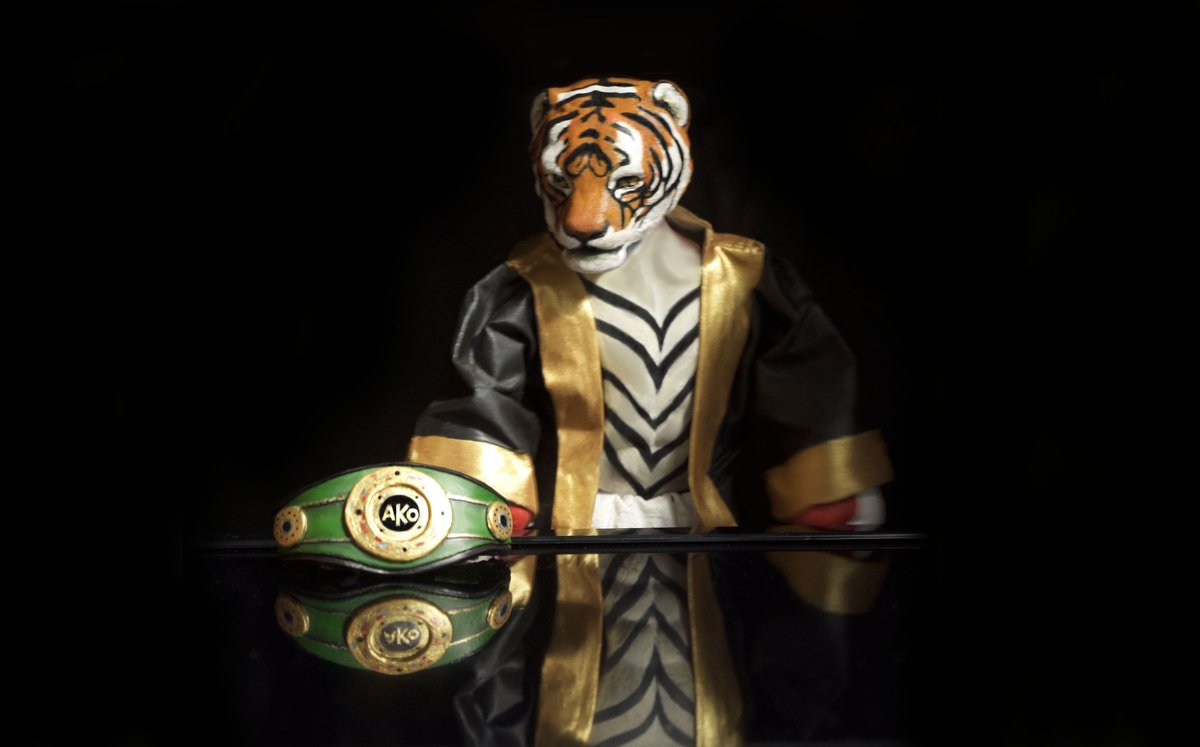 animal_boxing's tweet photo. Morgan Rock aka, 'the Menace AKO Champion of the world #boxing #tiger #boxingchampion #boxingbelt #boxingnews #boxinggame #artshare #unusual #different https://t.co/JKc9FaJIWn