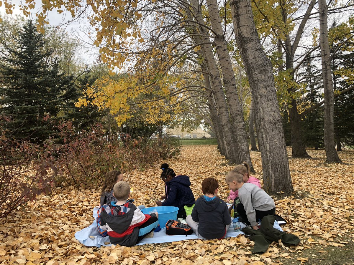 AhlquistKathy's tweet photo. #AutumninKindergarten C’est l’automne! @EJSMSchool https://t.co/JtEuwPv6Rx