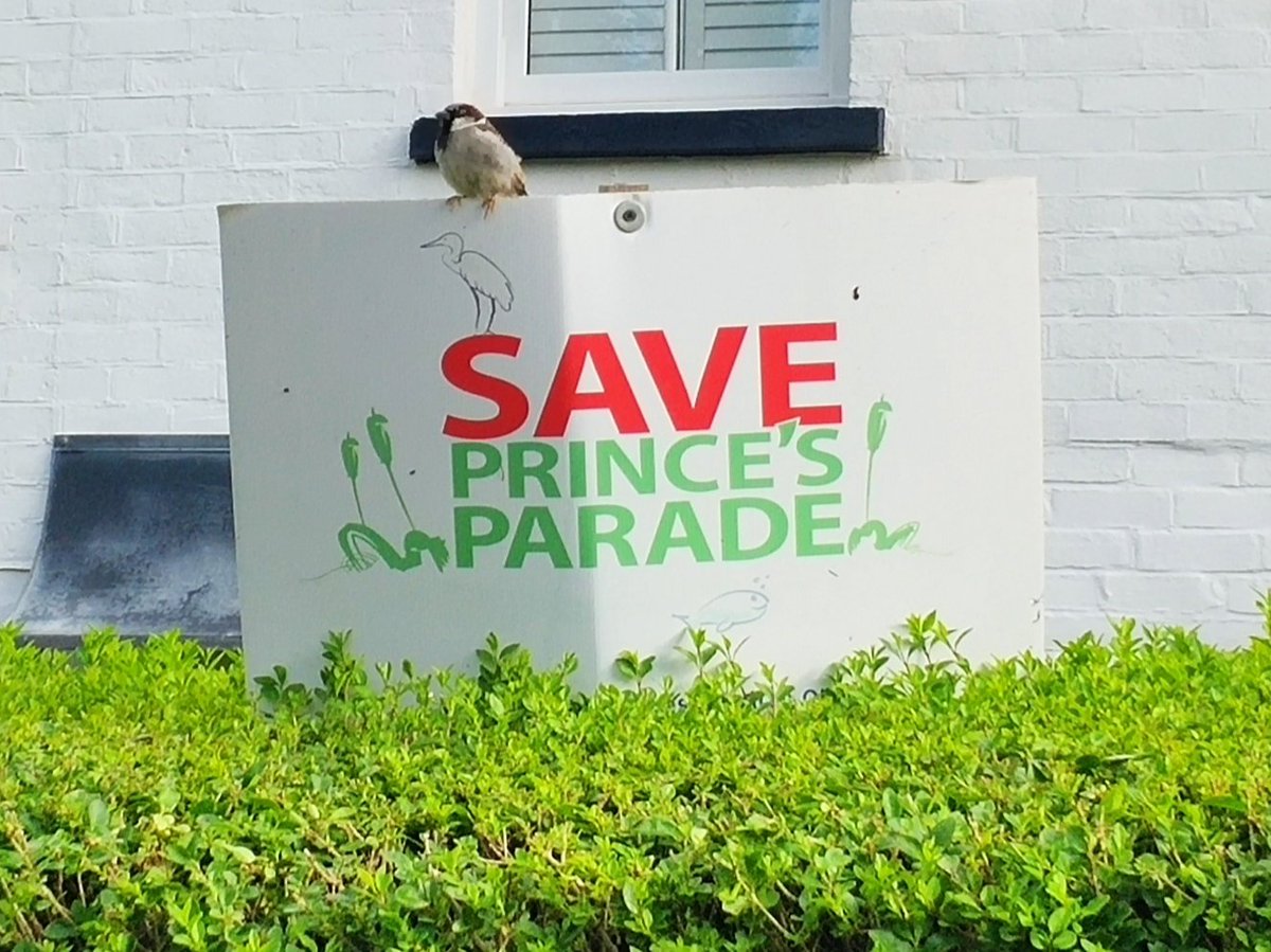 SavePrincesPara's tweet image. Get your tickets today! Available in Hythe, Sandgate and Folkestone priced £12.50 (see image). It's going to be brilliant! 

To purchase by PayPal pay to the email membership@saveprincesparade.org and add a message stating how many tickets and a name for collection on the night.