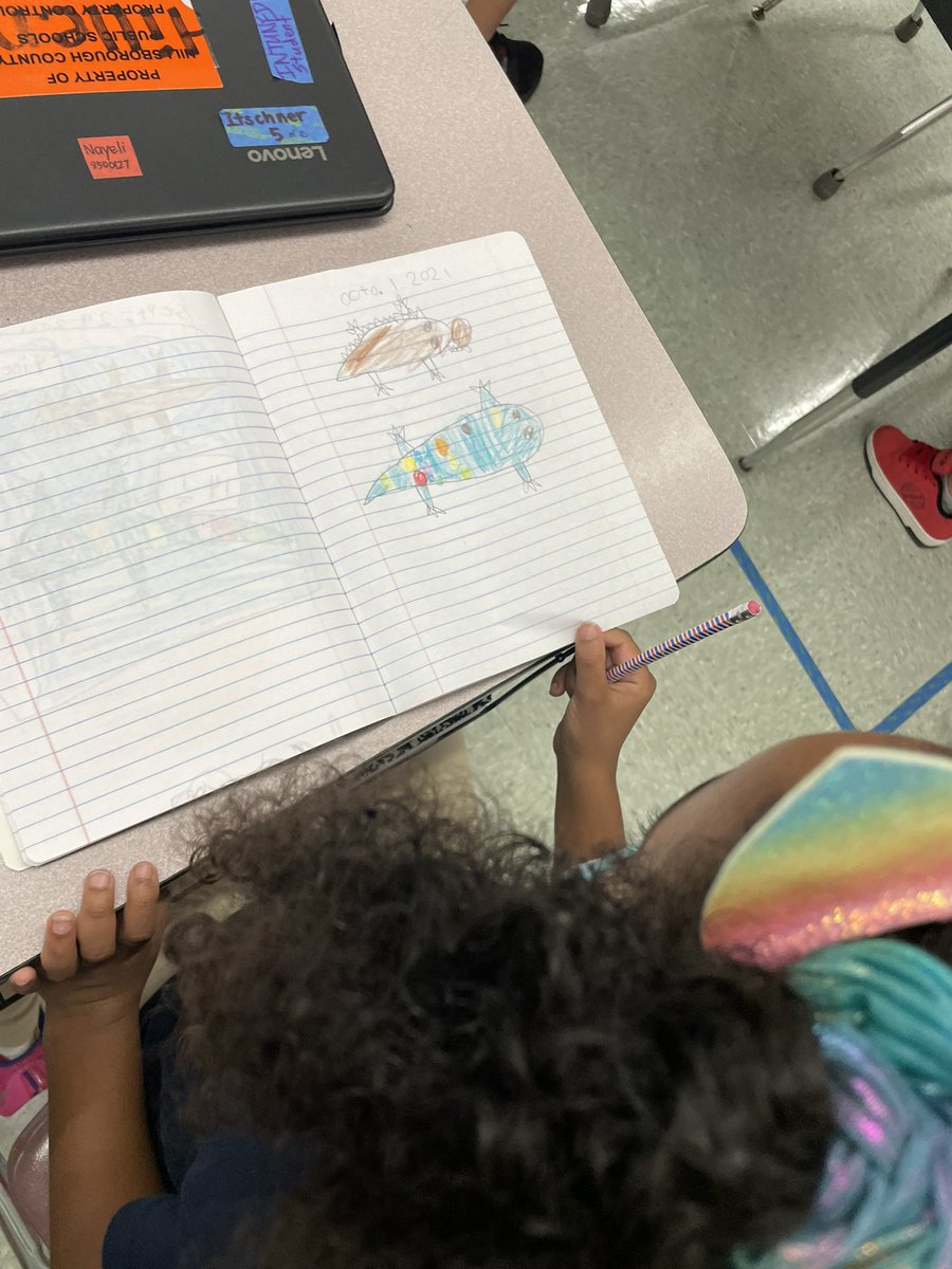 Anita Ventura tweet media