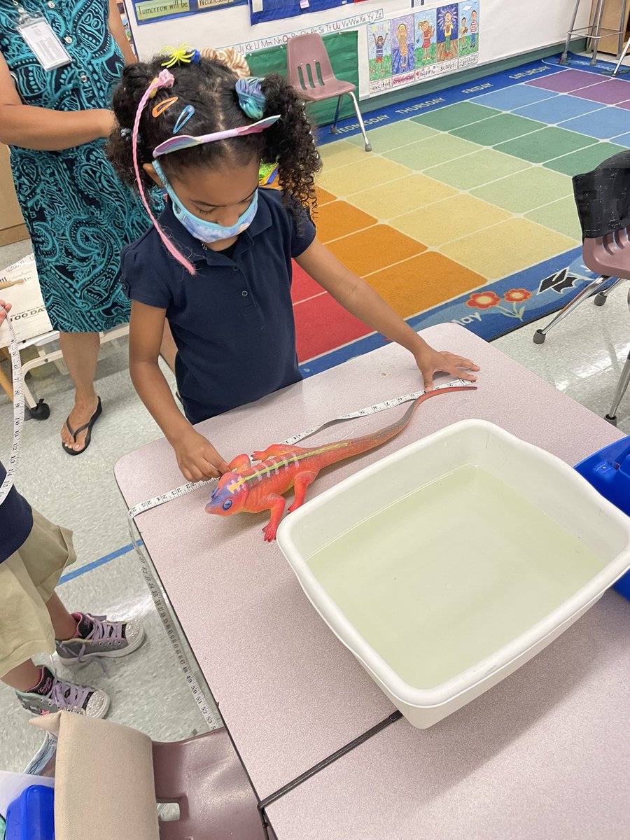 Anita Ventura tweet media