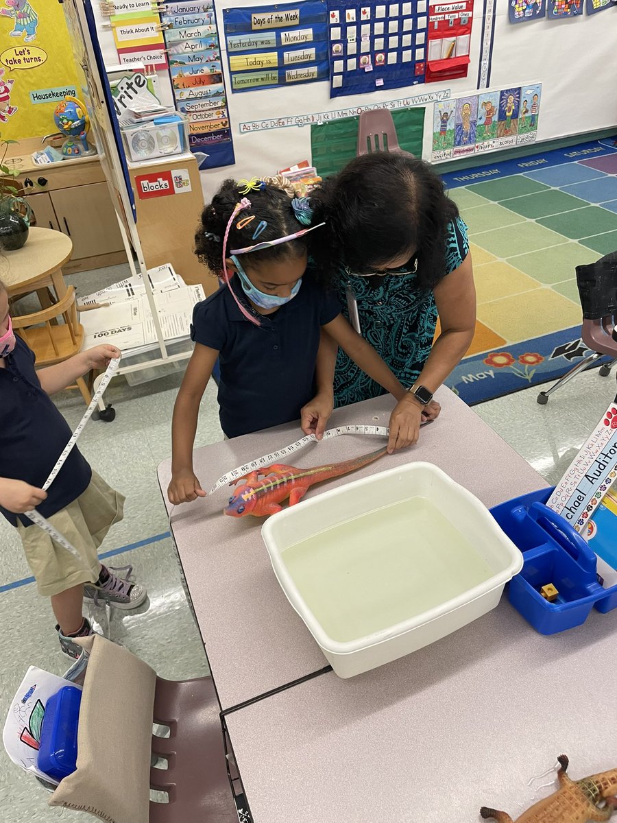 Anita Ventura tweet media