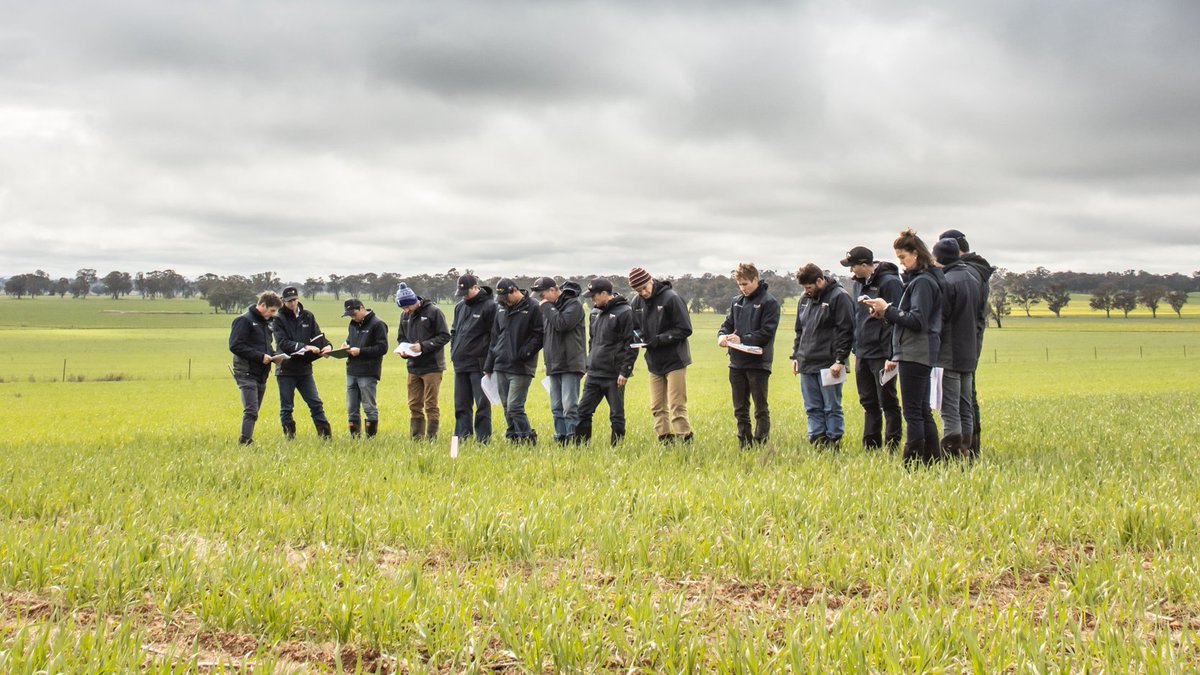 deltaagribus's tweet photo. Looking forward to getting back in the paddock together soon...
#deltaagronomy #deltaPAsolutions #deltatrials https://t.co/rQuJDmgp13