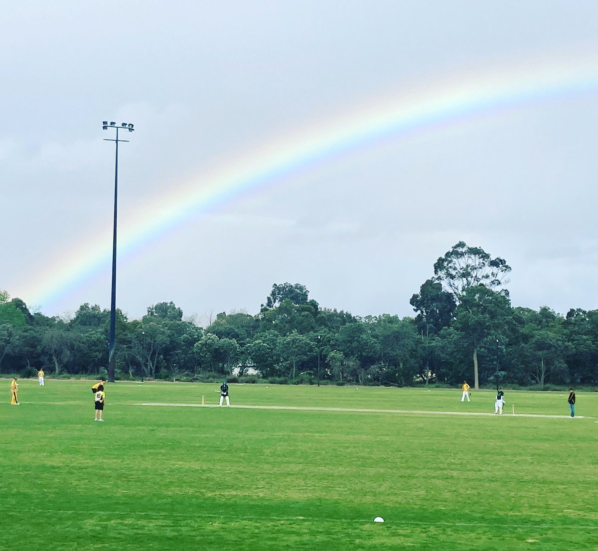 swanvalleycc's tweet photo. Cole Cup charity game at Ellenbrook. https://t.co/rM2EhVwEzv