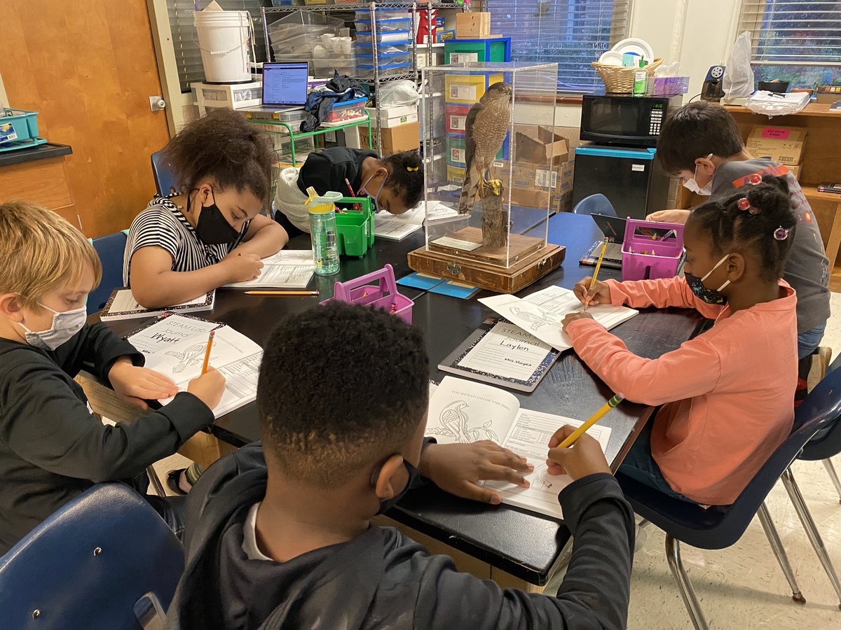 teachmd17's tweet photo. Our kids got to draw bird diagrams based on taxonomy models today from @FernbankScience AND THEY LOVED IT! Thank you, Mr. Dillon 🥰 @Kbillingsley9 @DeKalbSchools @CWATSONHARRIS @DcsdRegion2 #youcouldhearapindrop😂 https://t.co/q5Kyi15bn6