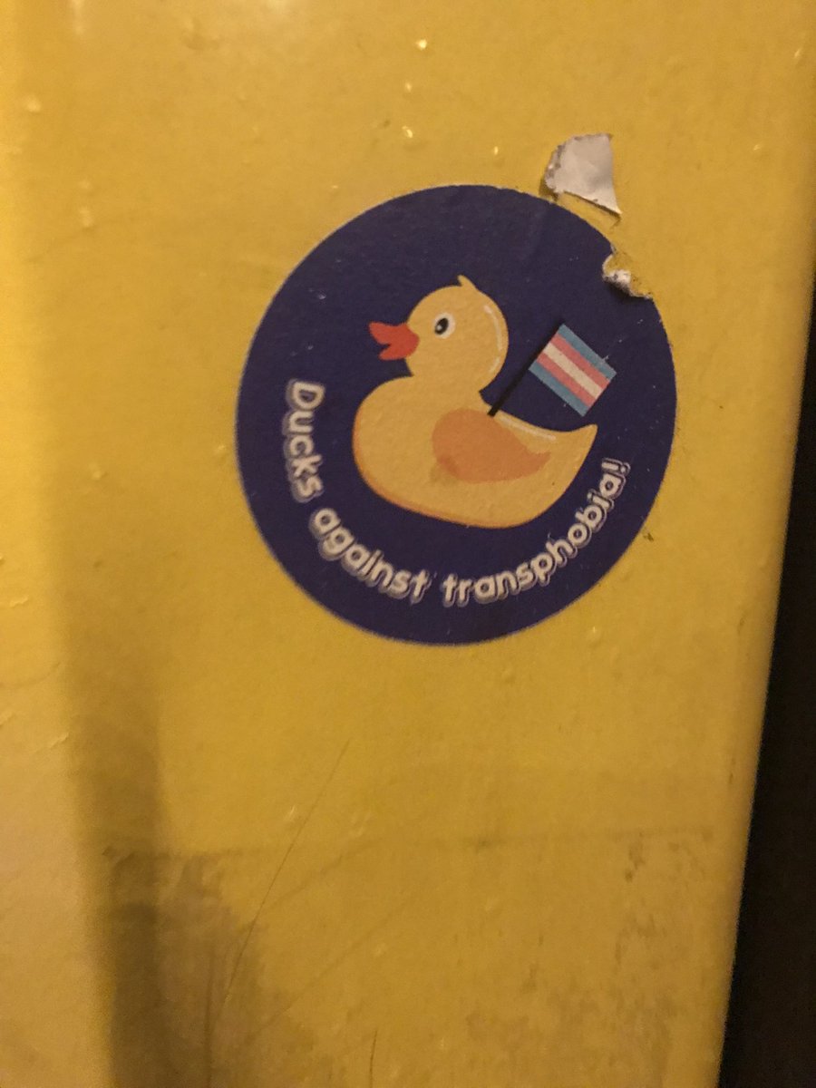 Listen to the ducks