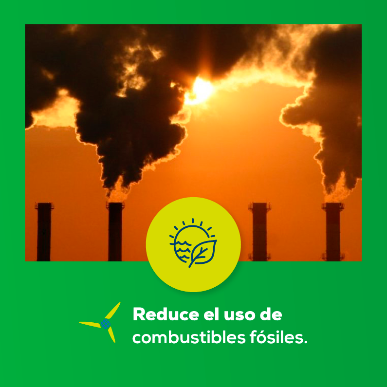 CCEEA's tweet photo. En este perfil, amamos la energia solar.🌞💚 Aquí te dejamos algunos datos del porque deberías optar por su uso también.⚡#CCEEA https://t.co/4b48BHLKuj