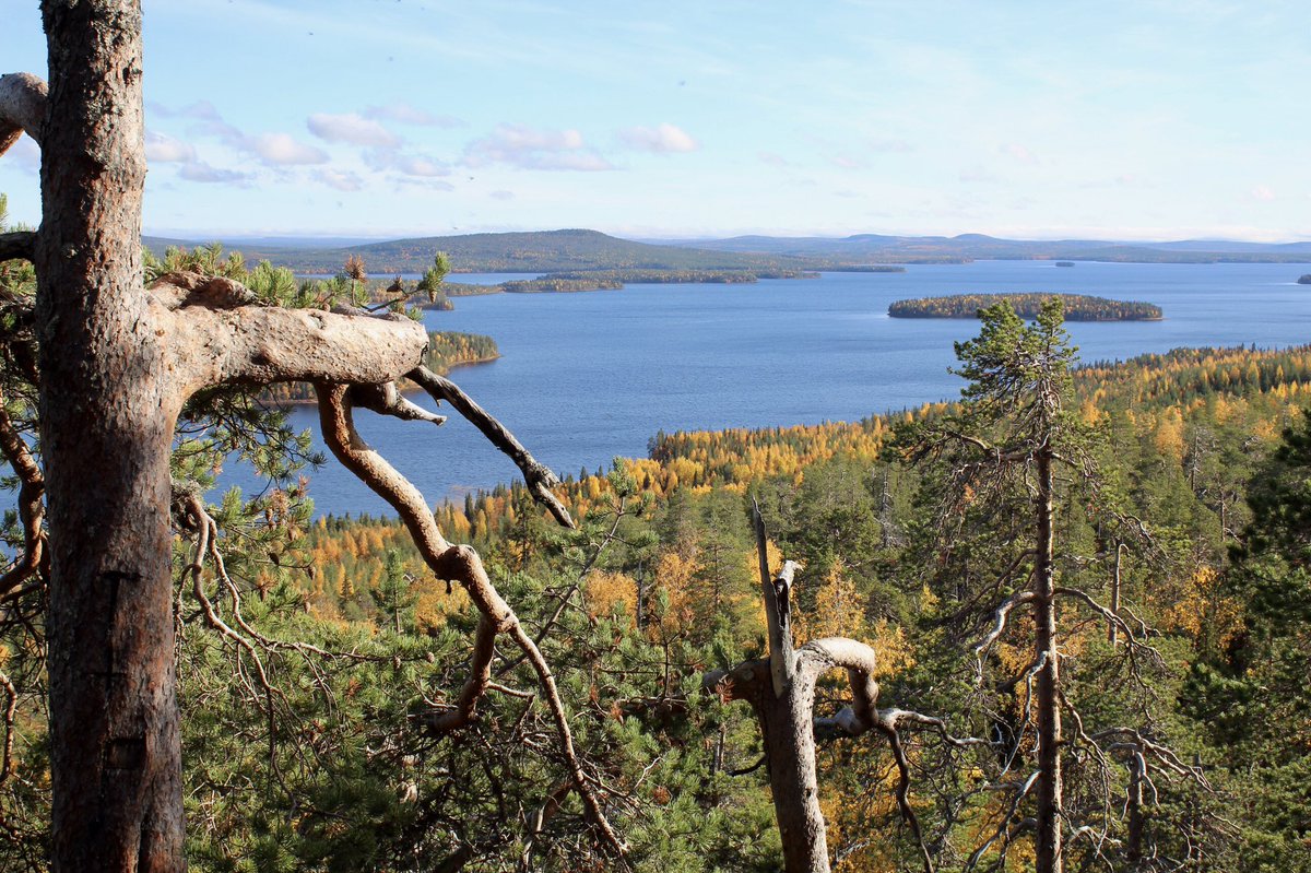 #Miekojärvi &amp; #Pieskänjupukka in #Pello, #Lapland, #Finland. Hiking here in late September was no less than unreal. #nature