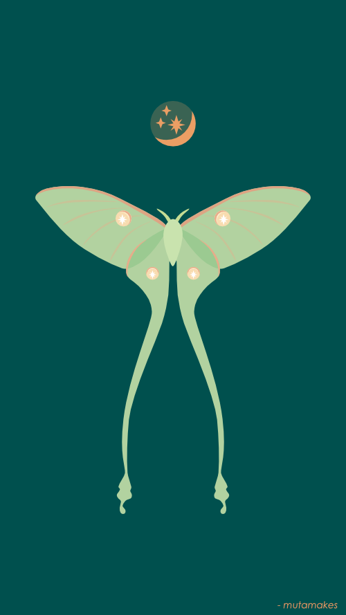 「🌙✨ celestial moon moth ✨🌙 」|muta 🍰 comifuroのイラスト