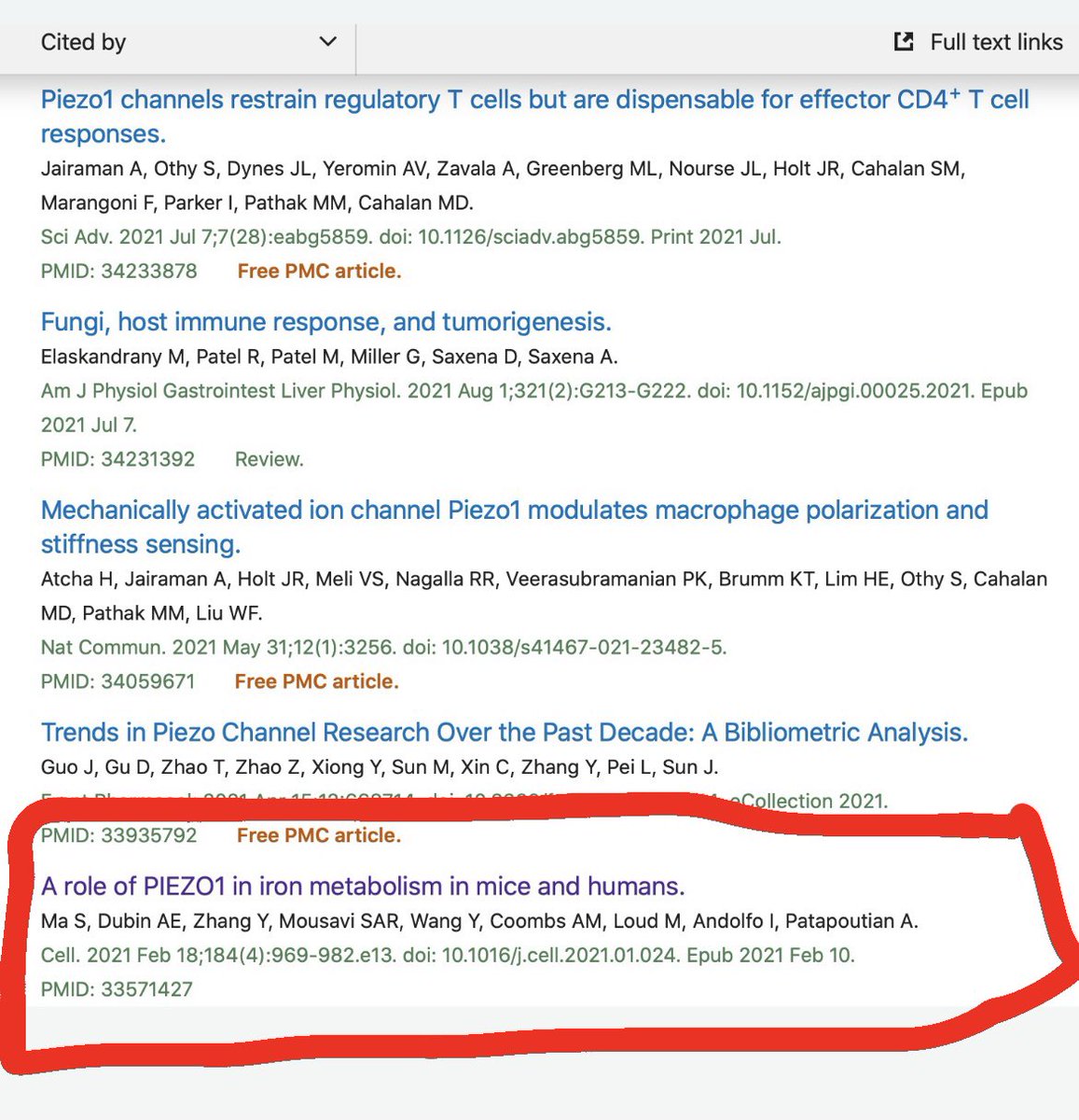 Berk Aykut Berkaykutmd Twitter